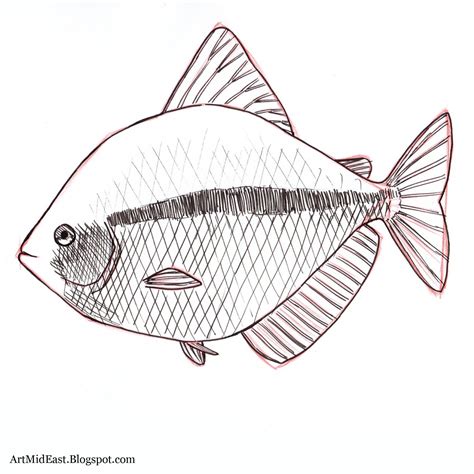 Fish Drawing Images .